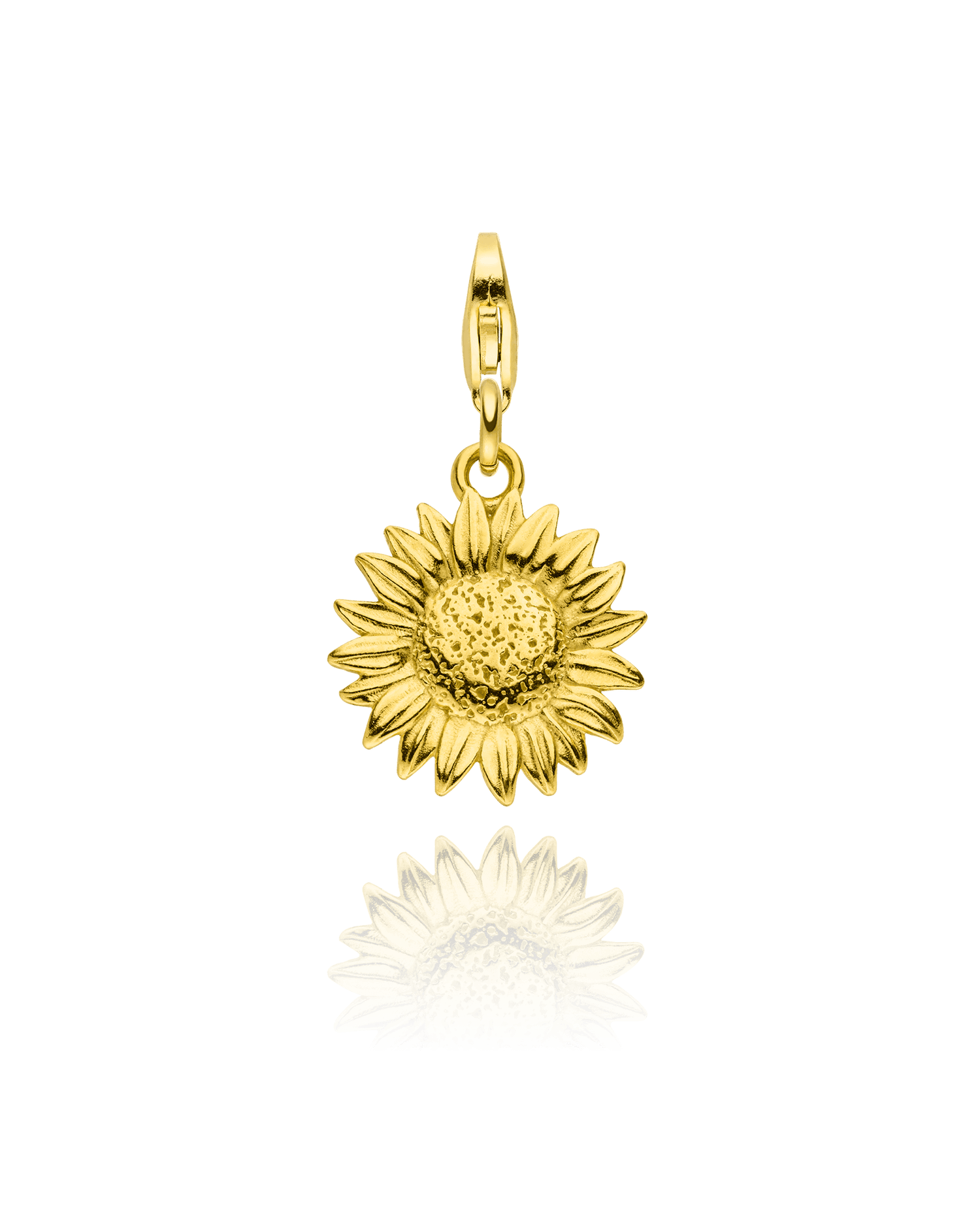 Charm Sonnenblume