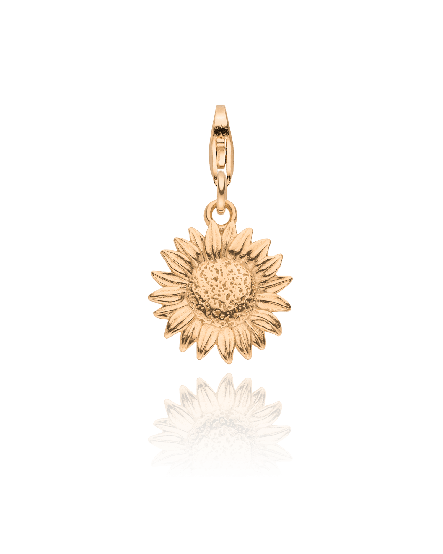 Charm Sonnenblume