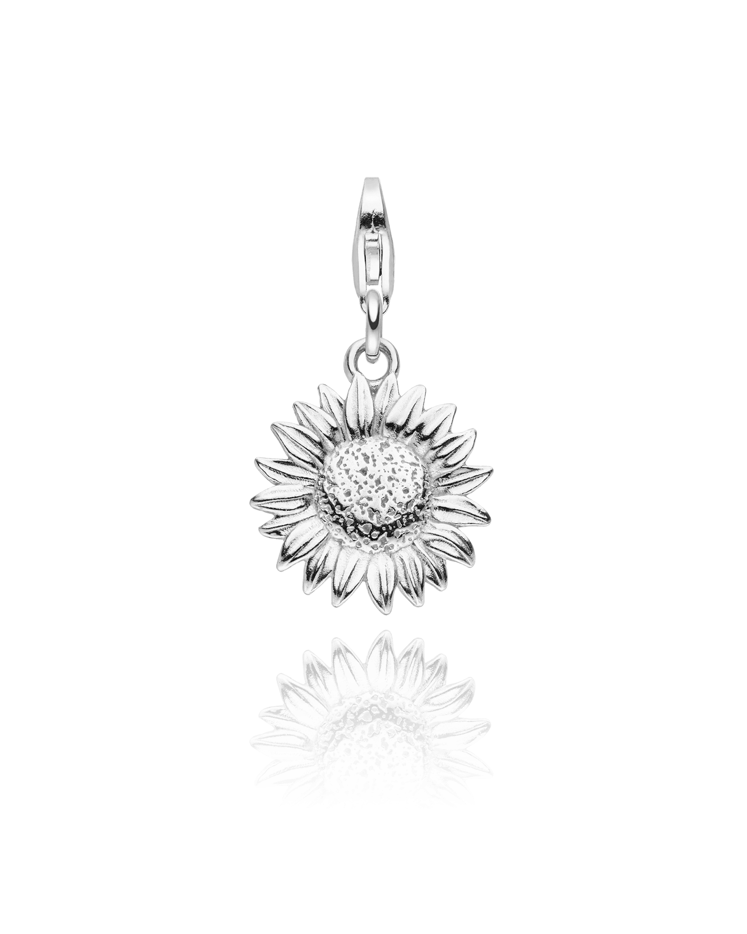 Charm Sonnenblume