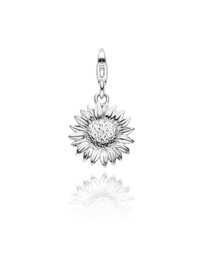 Charm Sonnenblume